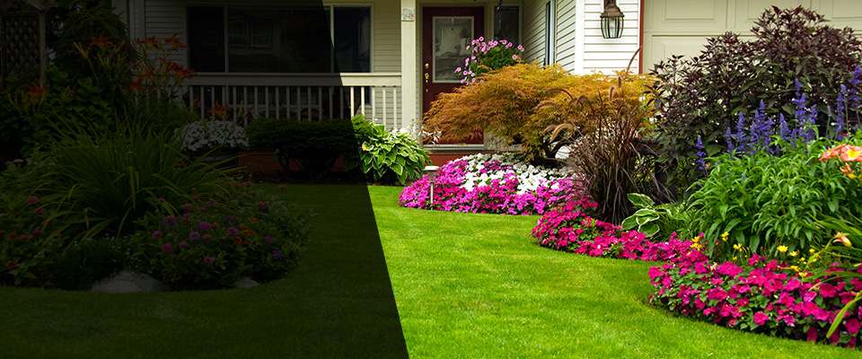 Champlin Landscapers