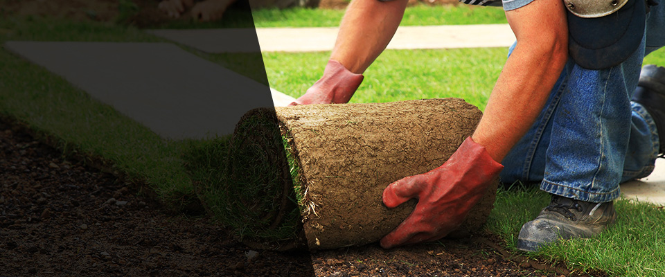 Champlin Landscapers